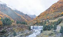 生命因互助而绚烂