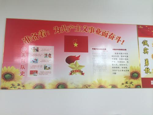 难忘的少先队活动