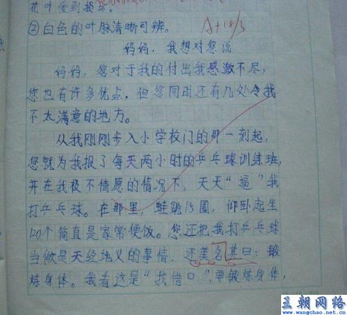 爸爸妈妈，我想告诉你一个400字的作文