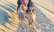 骑骆驼的感觉真好