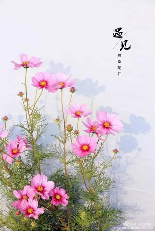 没有幸福的人只有幸福的心