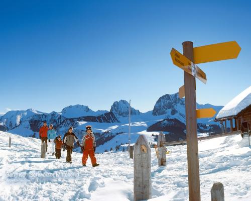 雪之旅