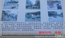 成长中我多了一分诗意