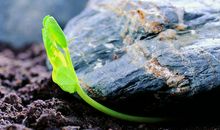 欣赏生命的美丽