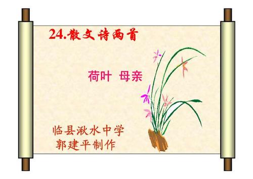 读《荷叶妈妈》后的感想