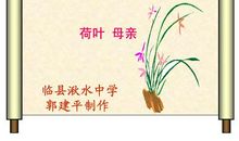 《荷叶·母亲》读后感