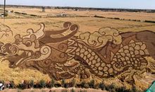 梦大难圆甘裹足？