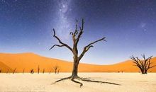 世界那么大去看看