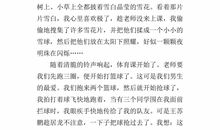 一次有趣的活动作文400字左右