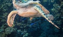 改变就在我们身边