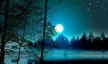 迎着皎洁的月光