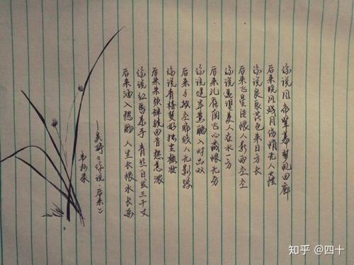 渴望一对翅膀