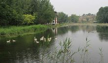 胜溪湖公园