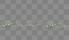 那些曾点缀过草坪的繁星点点