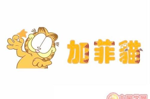 描述加菲猫