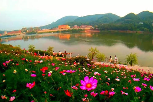 河滨公园的四个季节的美丽