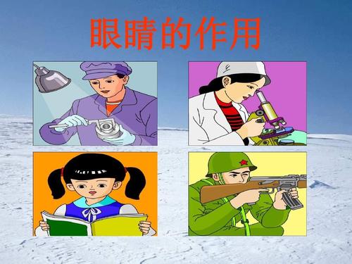 眼睛的重要性