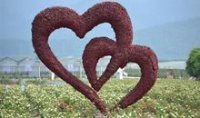 森林里的选拔赛