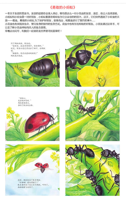 勇敢的小蚂蚁