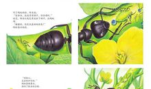 勇敢的小蚂蚁