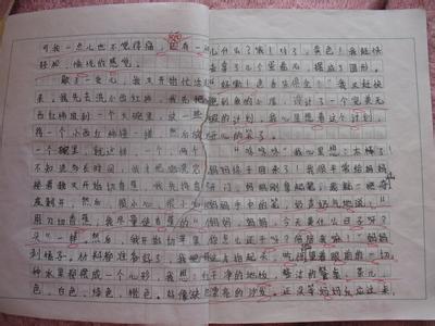 我校长的作文400字