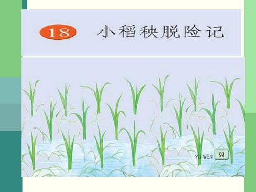 小岛阳续集逃脱险境