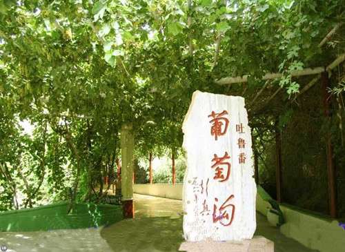 葡萄谷
