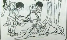 皮球回来啦看图写话