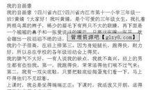 我的自画像作文450字