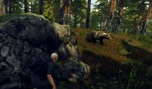 新视角下的自然与生存