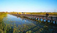 杭州湾湿地公园