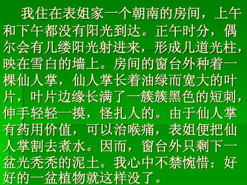 我最喜欢的仙人掌作文300字