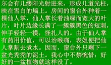 我喜欢的仙人球作文300字