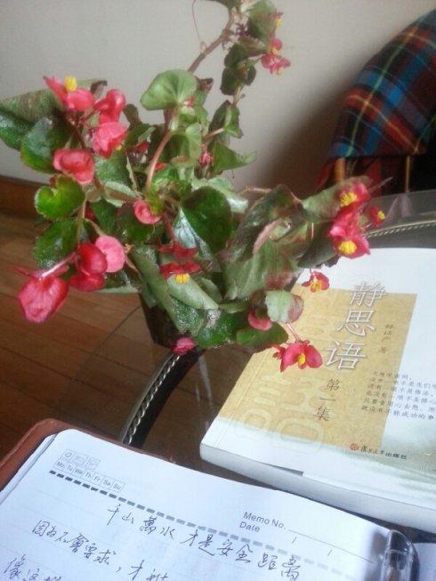 我是“书画花”