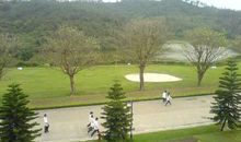 校园的“三角洲”