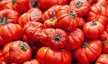 红色体验收获多