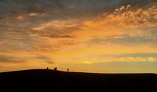 那段忙碌的日子