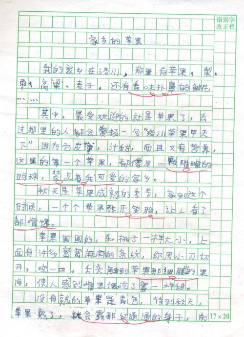 故乡专业作文300字