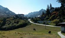 一路崎岖一路美