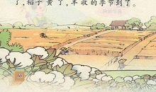 寻找秋天的气息