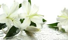 做一个灵魂有香气的女子