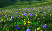 美丽清远我的家