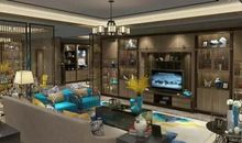 我家新来的“朋友”