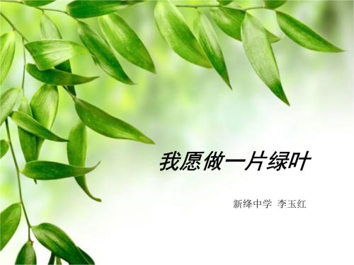 绿叶的叙事