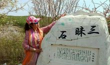 再回首，已是沧海桑田