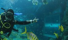 三亚潜水之旅