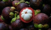 水果之后—山竹