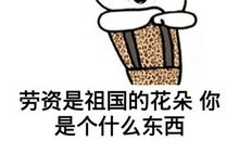 我佩服我的爸爸