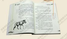 《草原狼梯图》读后感