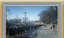 被命运碾压的北平车夫